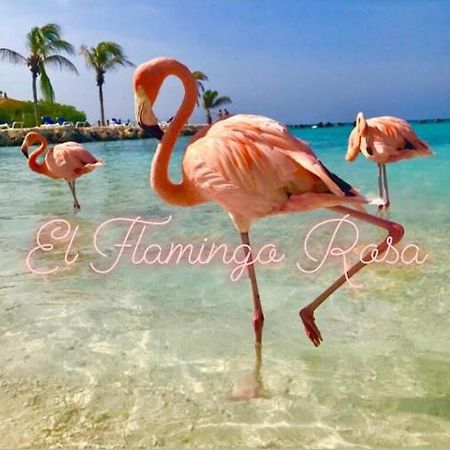 Villa El Flamingo Rosa Cod IUN P5386 Iglesias Exterior foto