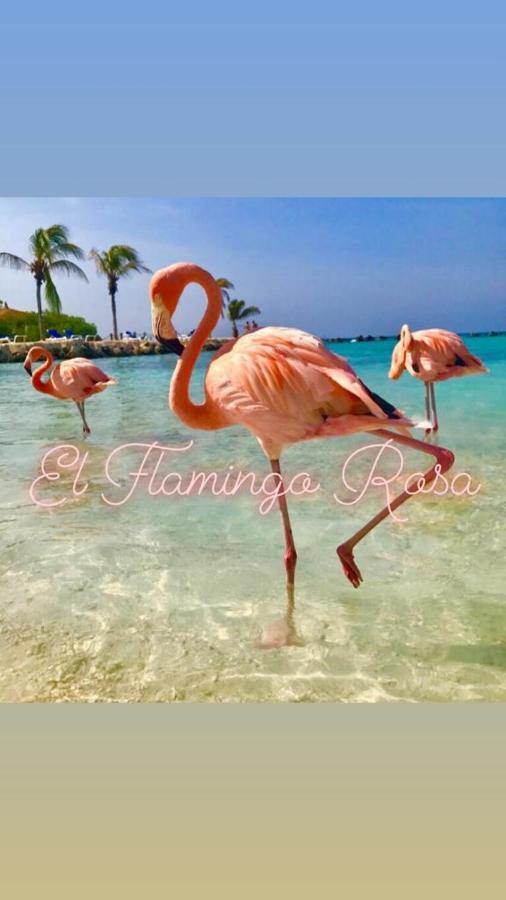 Villa El Flamingo Rosa Cod IUN P5386 Iglesias Exterior foto